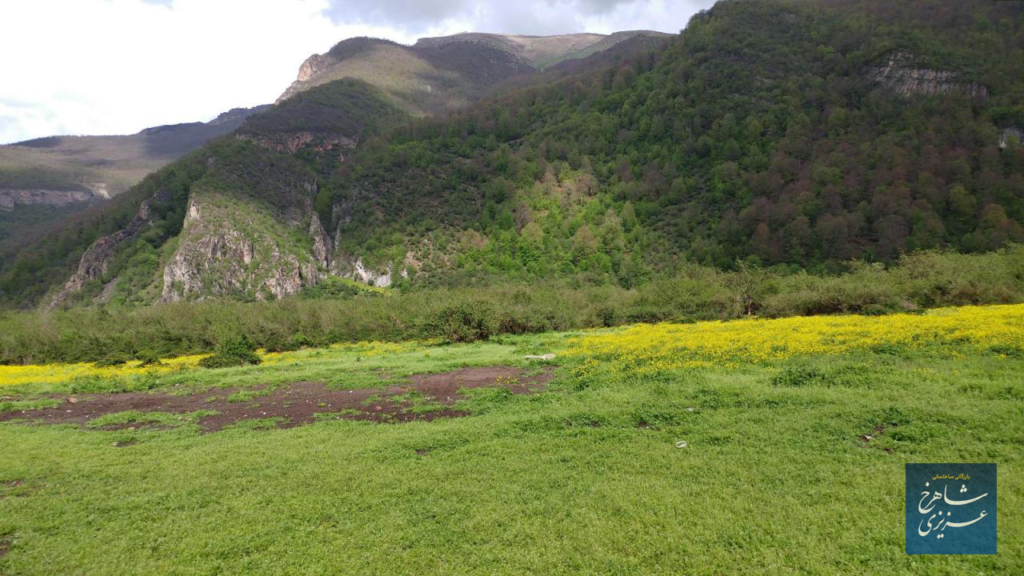 طبیعت زیبای پارک ملی در ساری